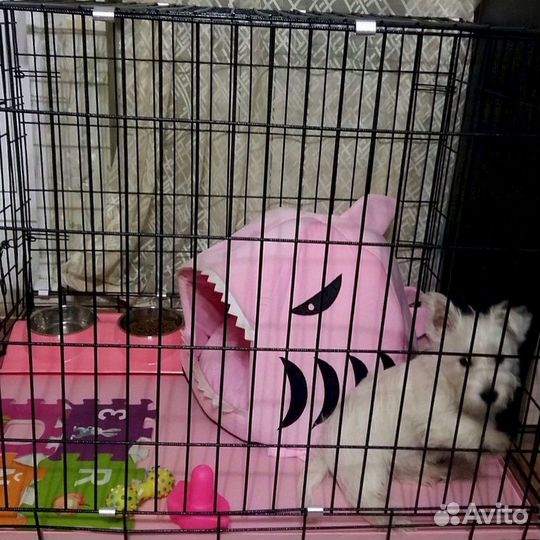 Клетка для собак