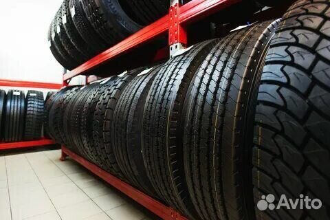 Delinte Winter WD52 225/70 R16