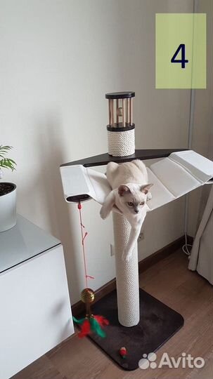 Когтеточка для кошек