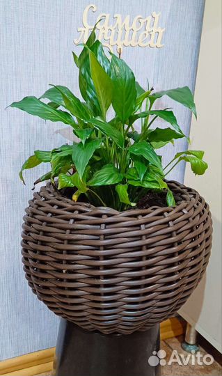 Кашпо из ротанга