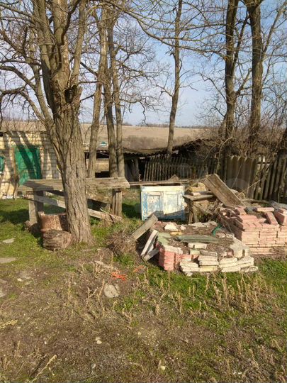 Дом 50 м² на участке 37 сот.