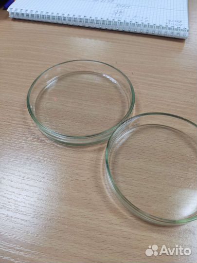 Чашка петри