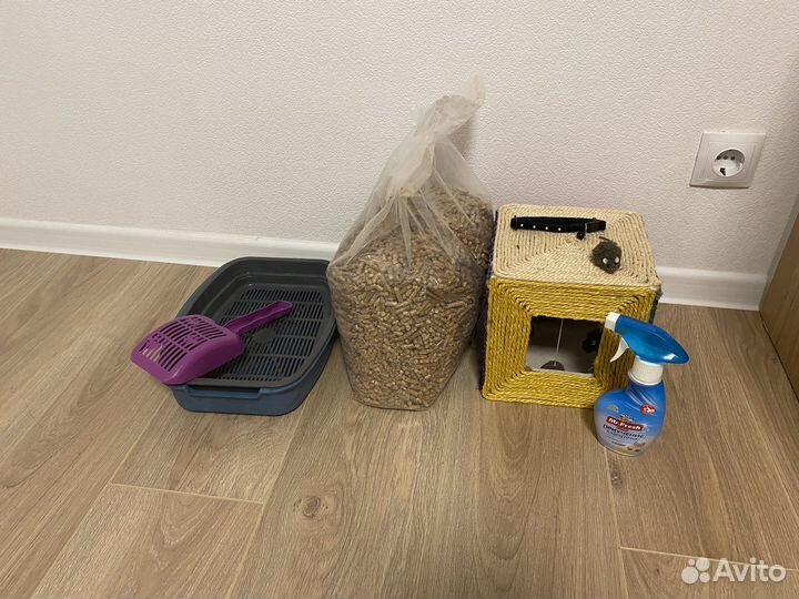 Товары для кошек