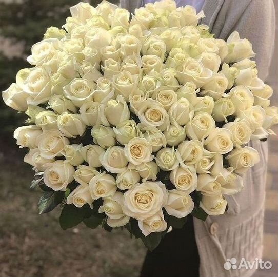 Длинные высокие розы 110 150 160 180 200 см