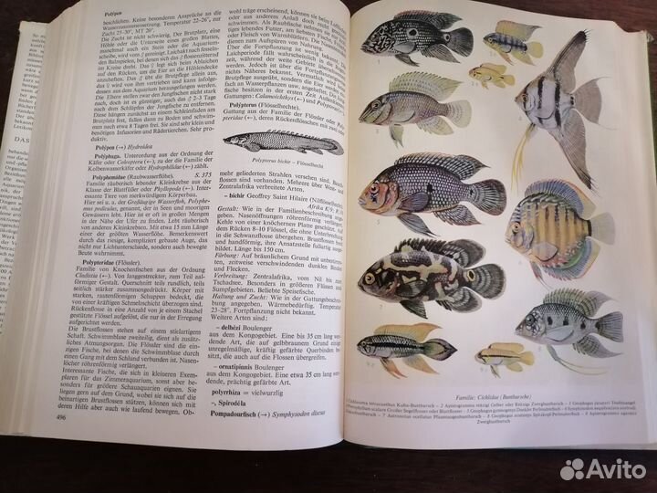 Книга по аквариумистике на немецком языке