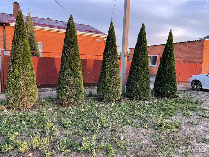 Забор уличный