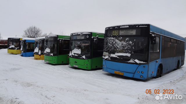 Городской автобус МАЗ 206060, 2010