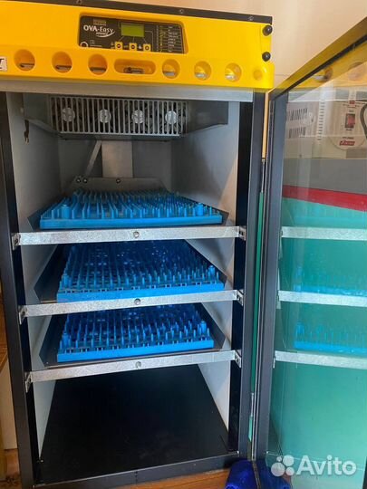 Инкубатор для яиц brinsea 380