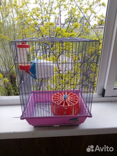 Клетка для хомяка
