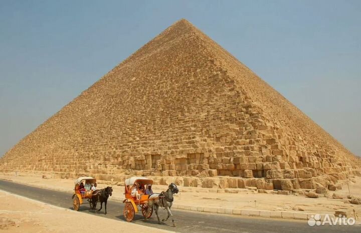 Поездка в семейные от. Египта от 1 ч