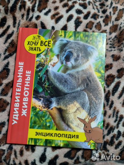 Детская энциклопедия