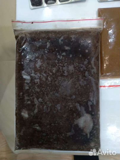 Корм для рыб+циклоп, мотыль