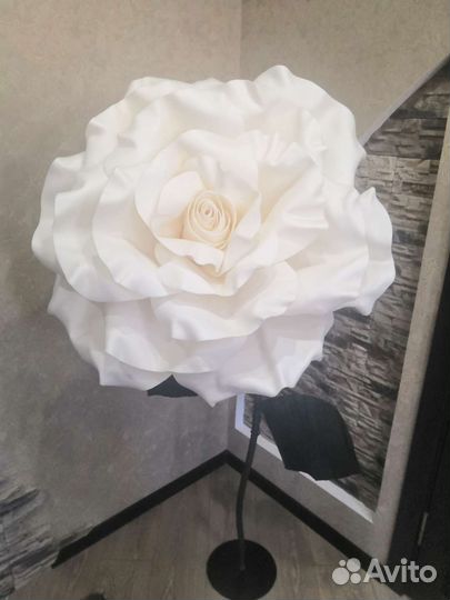 Роза напольная