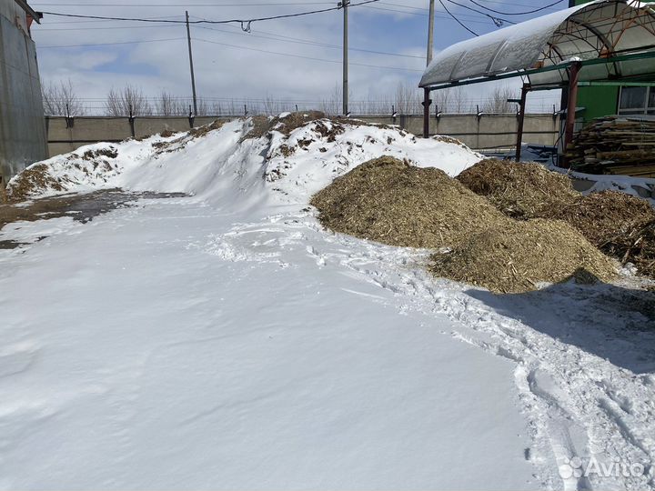 Щепа для подсыпки/питания Крс,лошадей