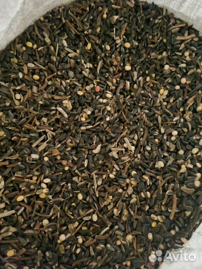 Семечка на корм