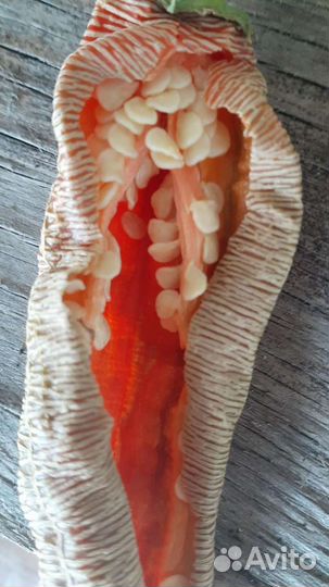 Семена. Острые перцы комнатные и для огорода