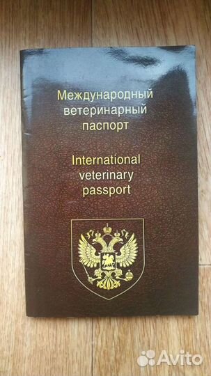 Вязка Лабрадор Ретривер