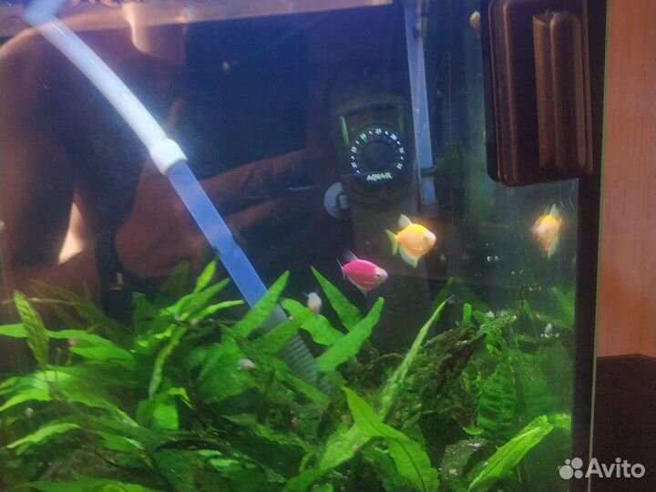 Аквариум