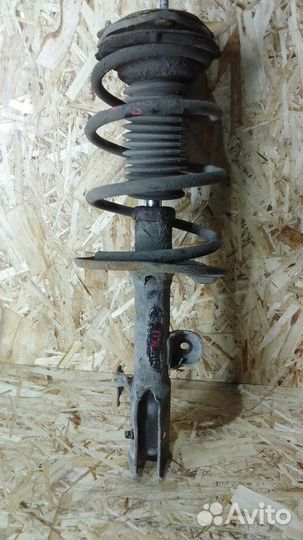 Амортизатор передний правый Toyota Rav 4 (40)