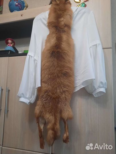 Шкурка животного