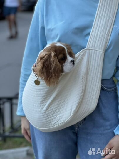 Переноска для животных