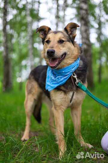 Заметь меня