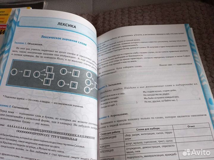 Рабочая тетрадь по русскому Ладыженская 5 класс