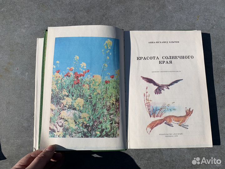 Красота солнечного края