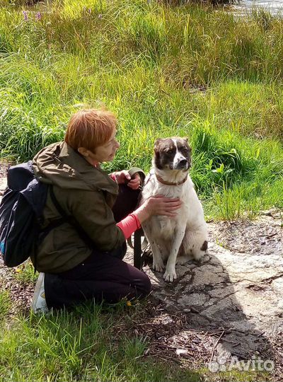 Капа. Родилась в сентябре 2016г