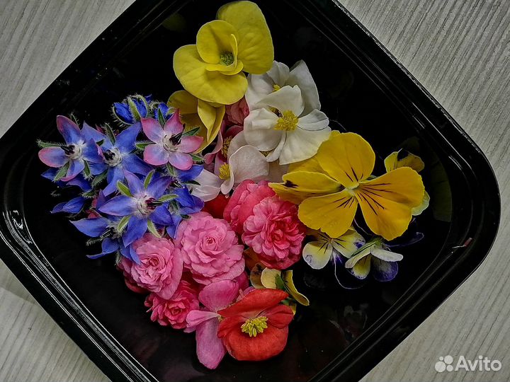 Микрозелень, витграсс, цветы