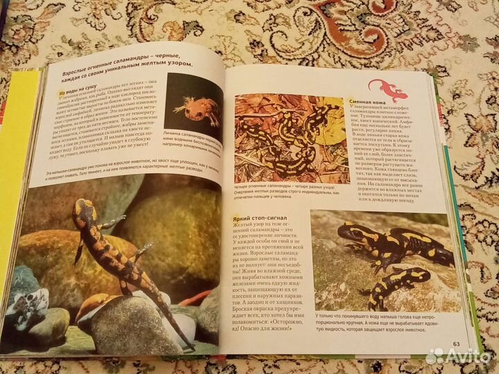 Детская энциклопедия