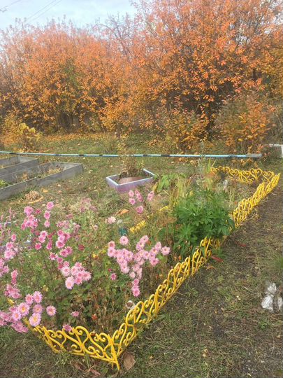 Дача 21 м² на участке 5,7 сот.