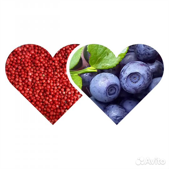 Черника свежая