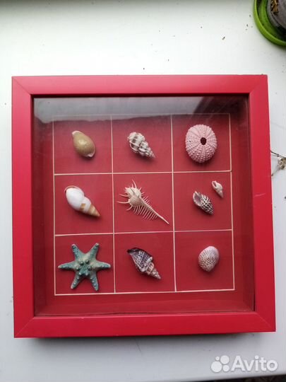 Декоративное панно с настоящими ракушками