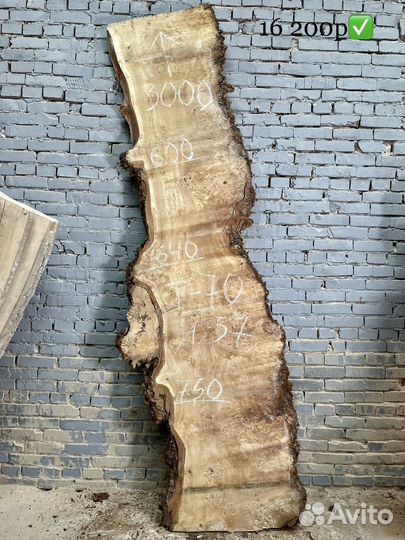 Слэб из дерева Каповый Тополь, столешница