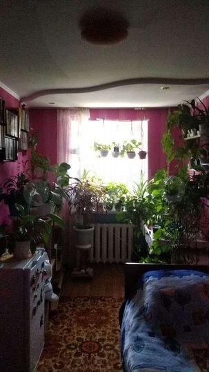 3-к. квартира, 54 м², 1/4 эт.