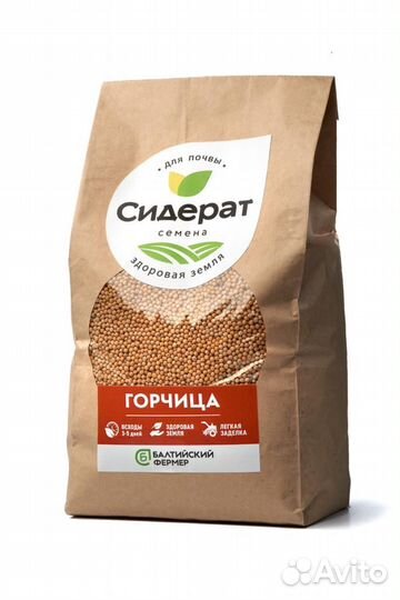 Горчица сидерат