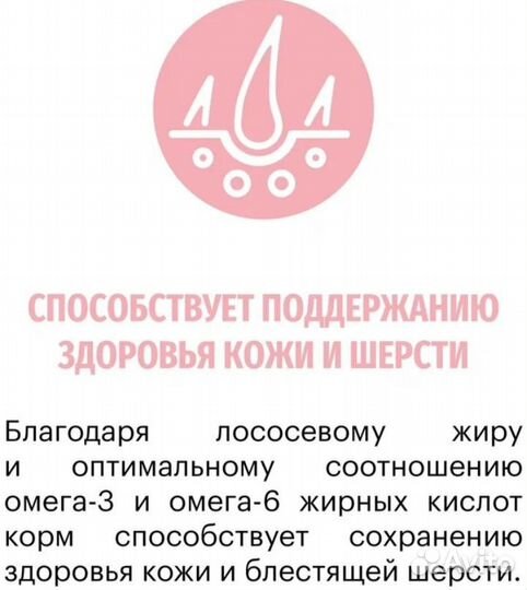 Корм для кошек Carmy