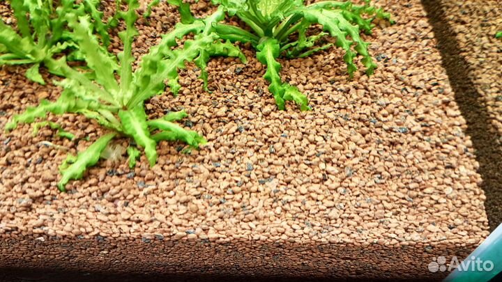 Грунт JBL Manado, Стеклоочиститель магнитный