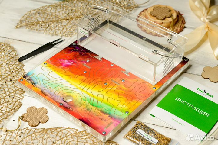 Формикарий/ Подарок для ребенка/ Муравьиная ферма