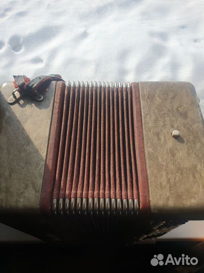 Баян Ростов Д