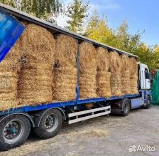 Сено Солома с доставкой