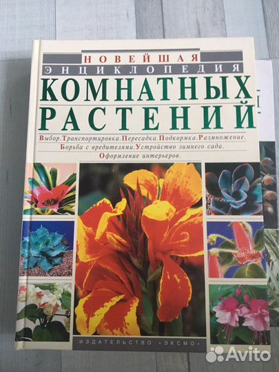 Комнатные растения