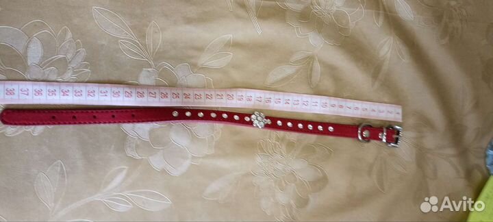 Ошейник для кошек и собак мелких пород