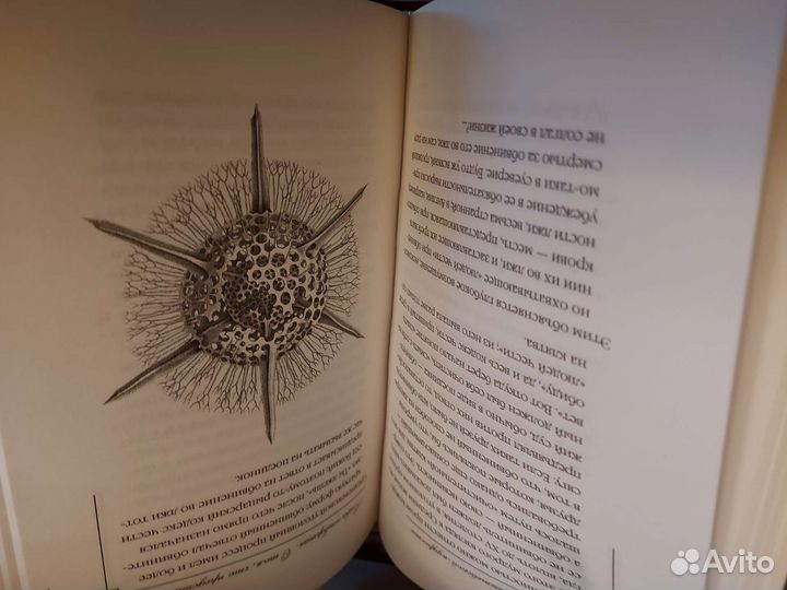 Книги серии,Мудрость мира '' 10 штук