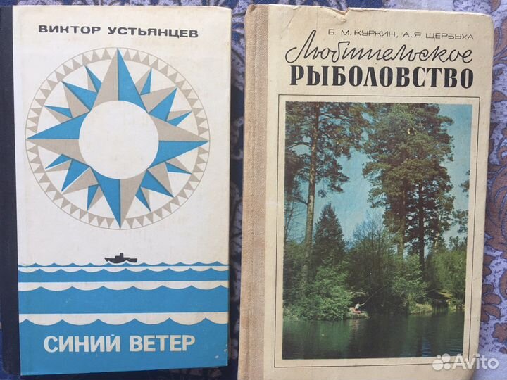 Книга Маршал двух народов, Синий ветер