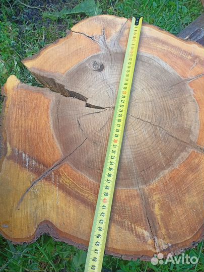 Спилы для столиков 50 см Тверь