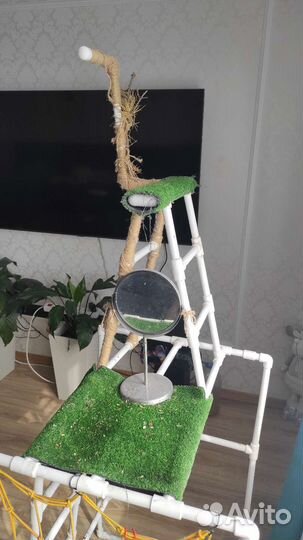 Присада для попугая