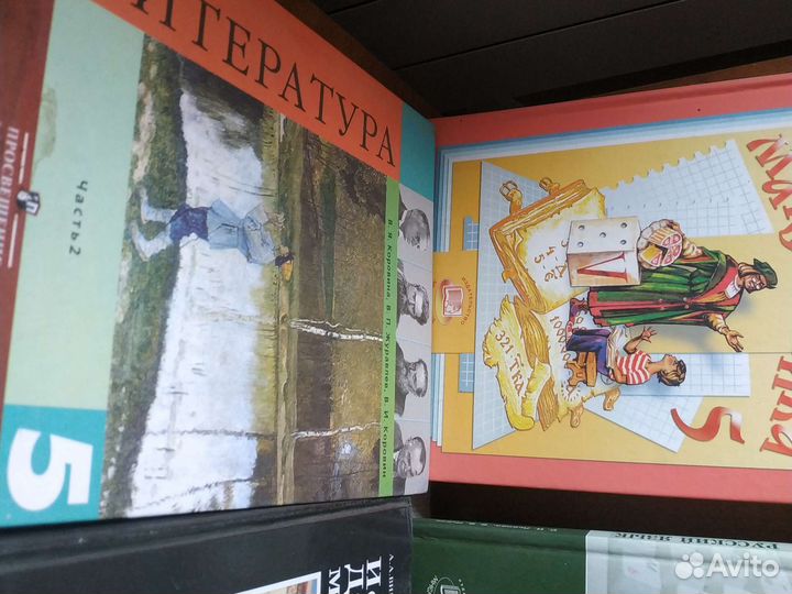 Учебник 5 класс русский язык остался