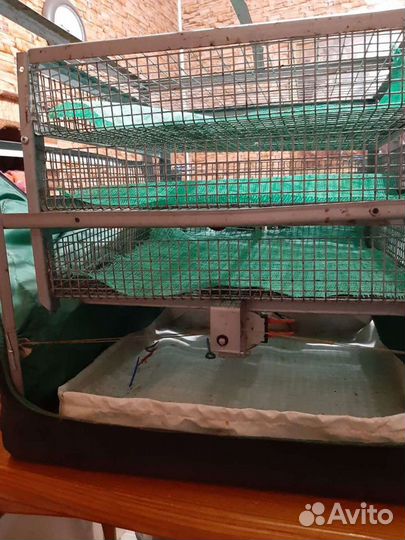 Инкубатор на 210 яиц